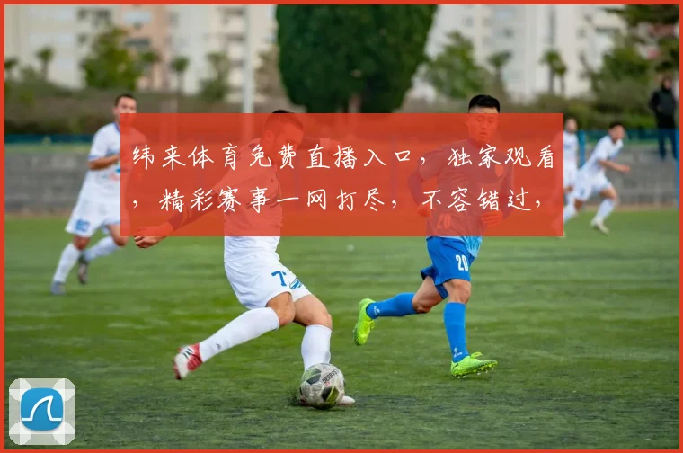 纬来体育免费直播入口，独家观看，精彩赛事一网打尽，不容错过，三重福利等你来